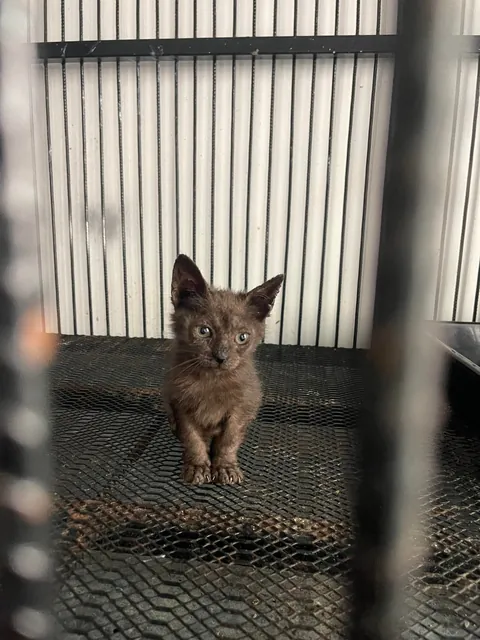 How it started vs how it’s going