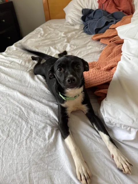 She’s just a bebe 🖤