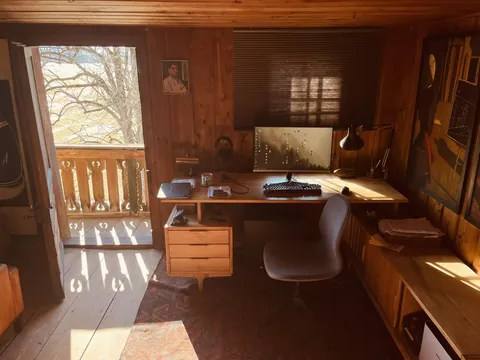 morning sun hitting my wood-paneled home office