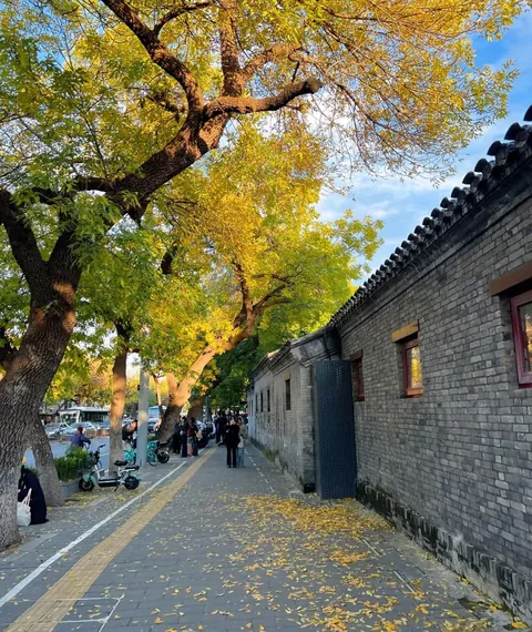 Autumn in Beijing
