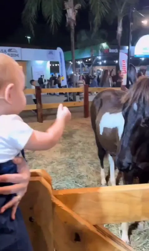 Horse doesn't refuse the invitation of a baby who calls him to pet him