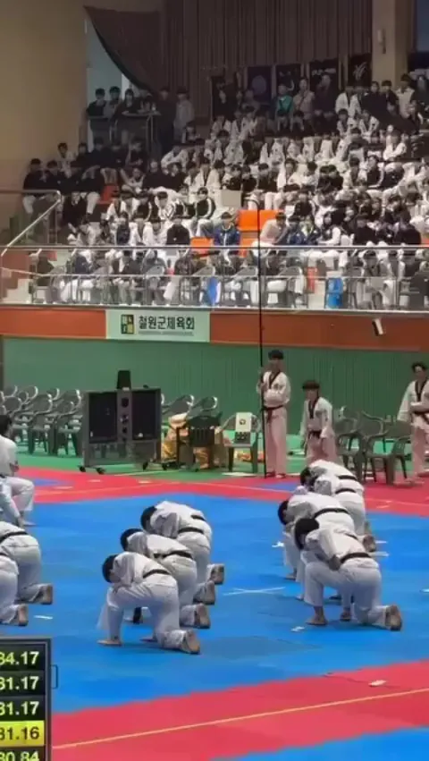These martial artists skill
