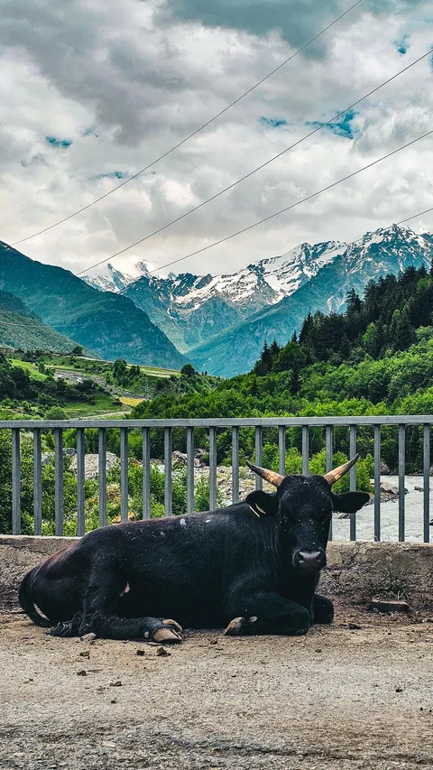 Svaneti, Ushguli, Georgia