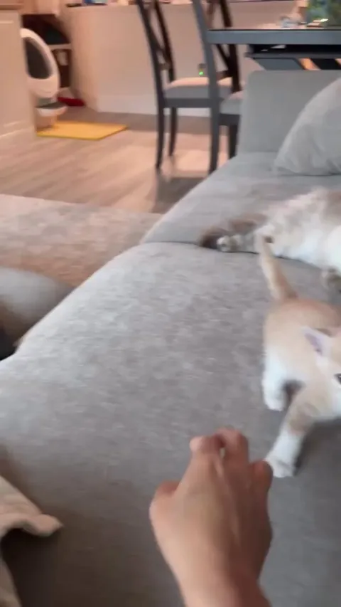 Playing with fingers