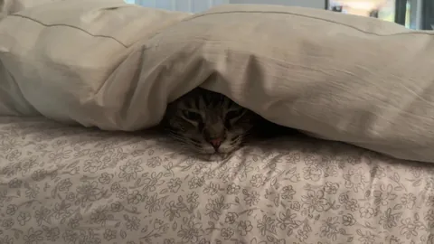 Everyone says Hawaii is warm year round. My boy strongly disagrees.