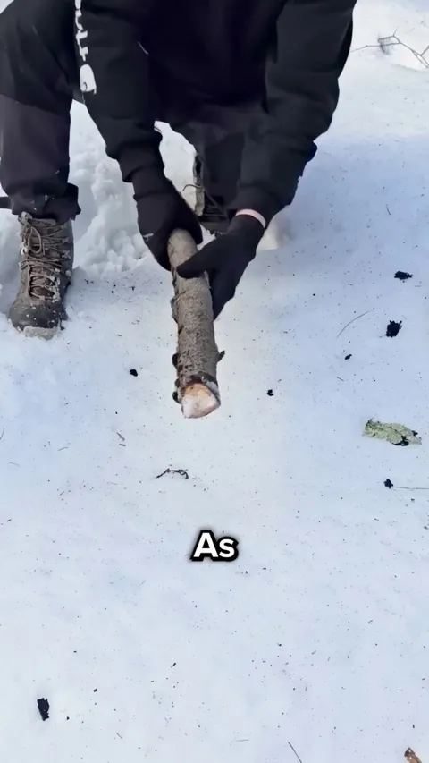 Fluid Dynamics &amp; Combustion - The Science Behind Sub-Zero Fire