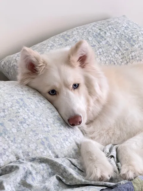 I promise she’s real!!