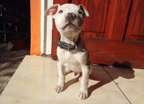 My little one has grown up now and this is his third Christmas