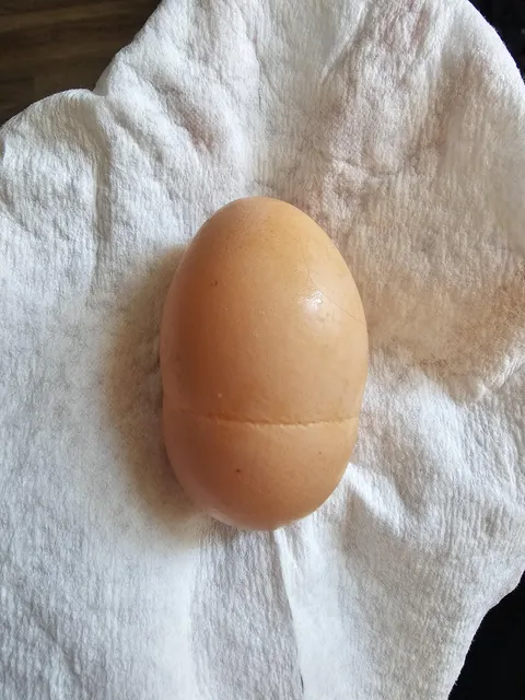 My chicken laid an egg with a seam