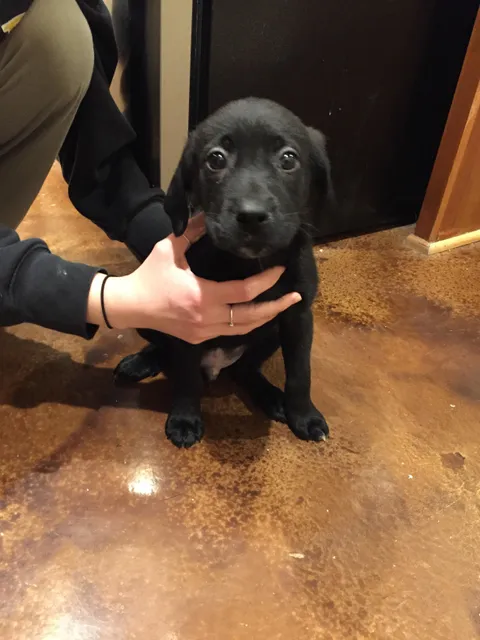 First night at my forever home!