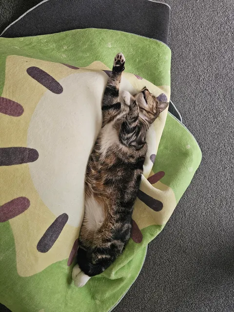 The way he sleeps. From streets to sleeps.