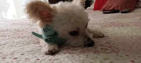 Here's my kinda old guy, before and after