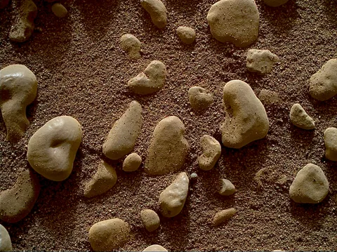 Pebbles on Mars seen today by Curiosity rover