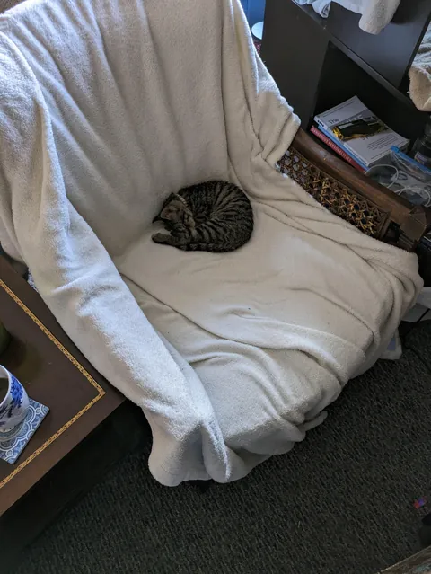 My bubba passed away suddenly.