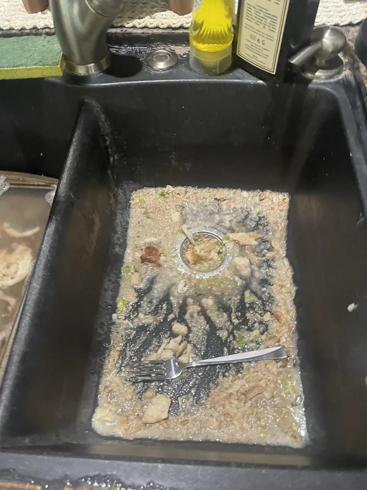 I wash dishes, and my mom and younger brother decided to bake. This was what they left. Oh my fucking god