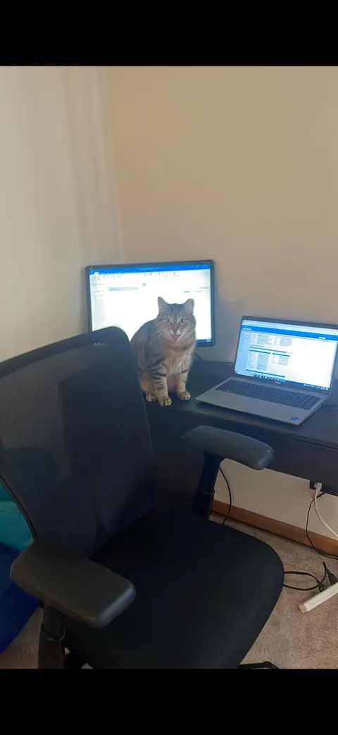 Boss called me on a Saturday just to yell at me 😿