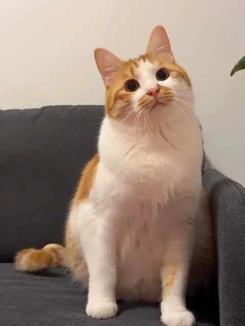 Slide the picture to the right, there is a surprise.