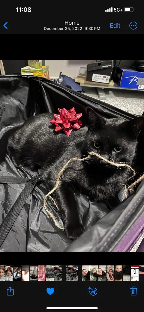 My dad saved him from being a killed