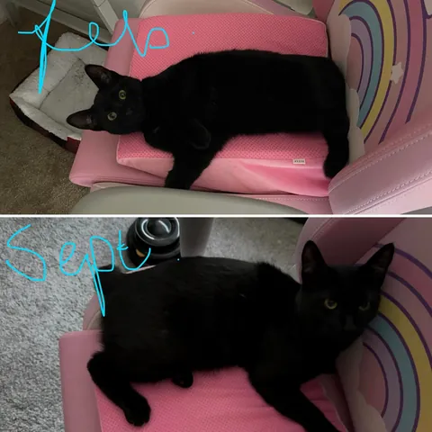 Soup Update: HE IS AN ADULT!!!