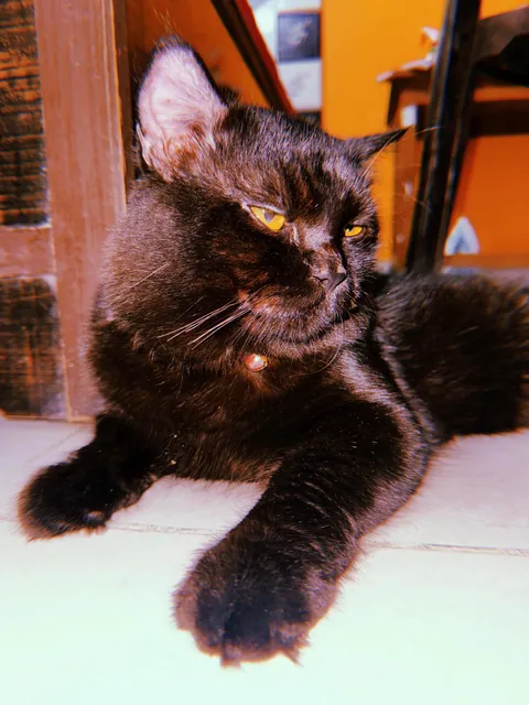 First Time Posting Him