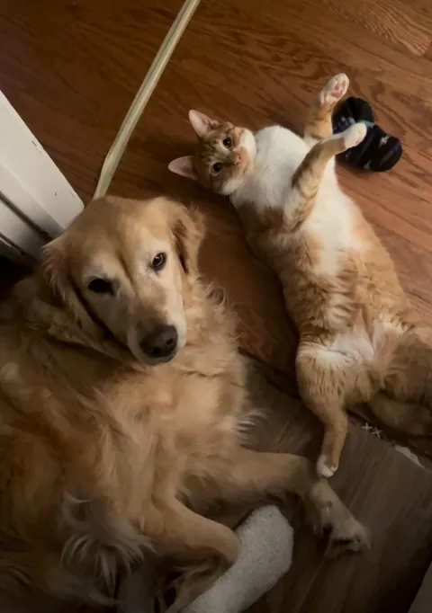 JimJim loves his Clover dog