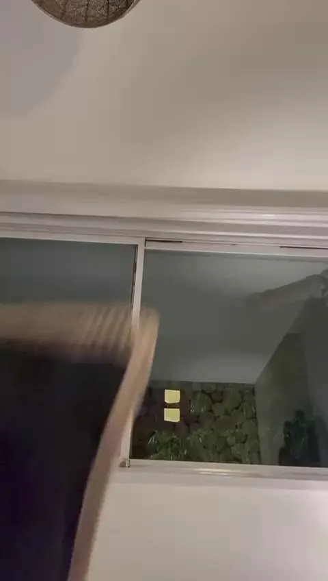 Cleaning views