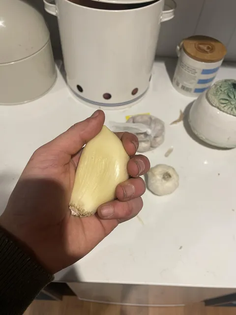 The “one clove” i use in my recipes [produce]