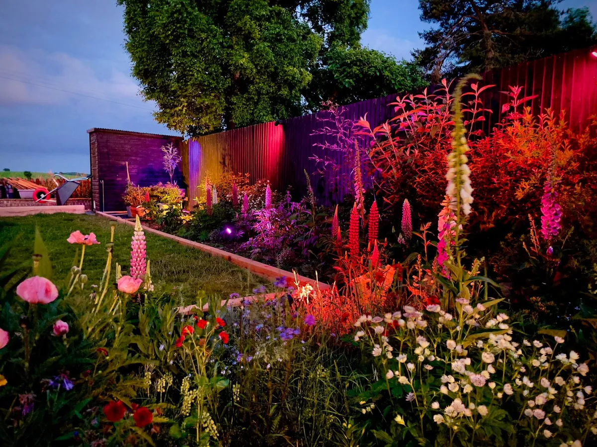 Our 2025 garden project (Staffordshire, UK)