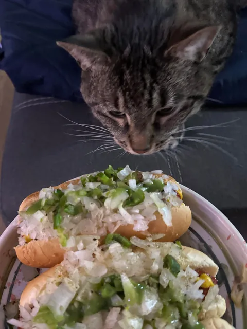 [homemade] onion dogs