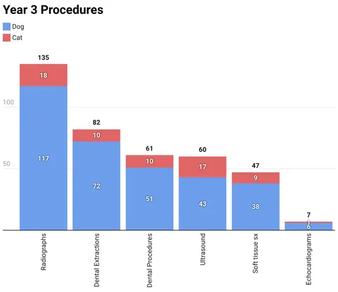 My Statistics as a Veterinarian - Year 3 [OC]