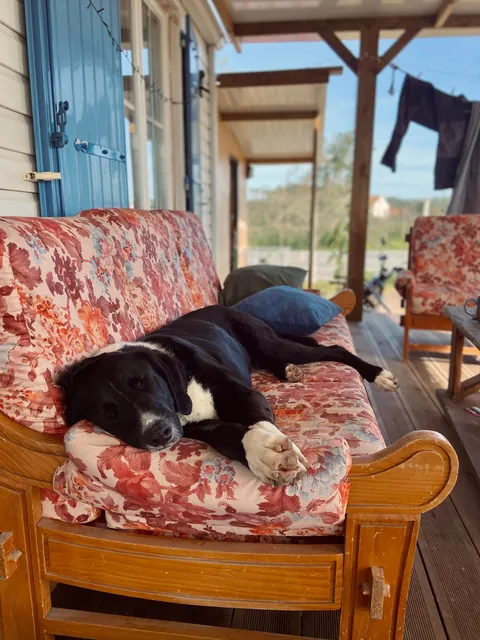 My son has a heart on his nose.