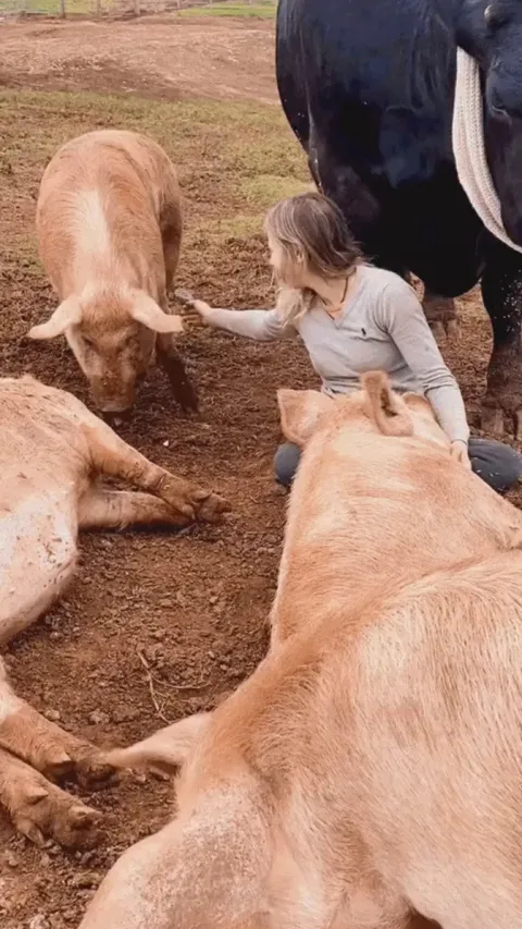 Friend to all the animals