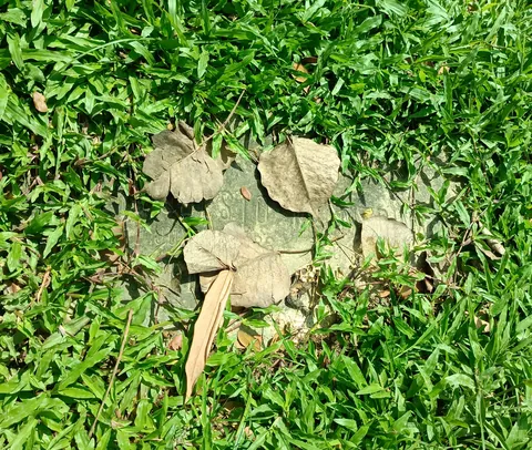 Forgotten graves in our cemetery