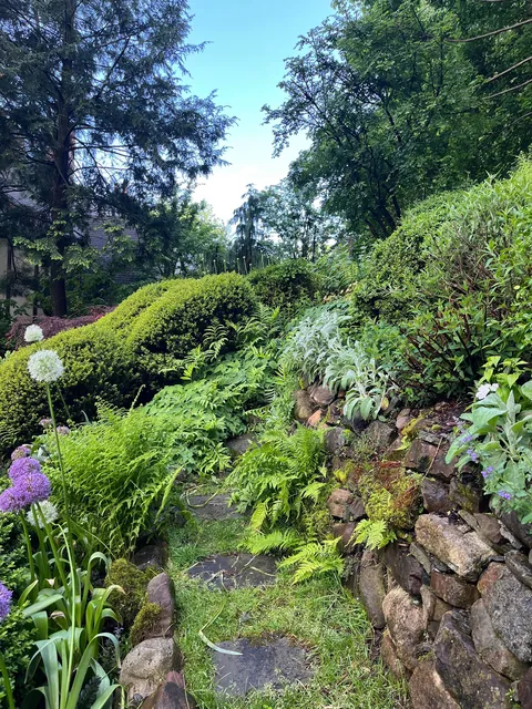 Photos of the backyard section of my mom's garden post-rain!