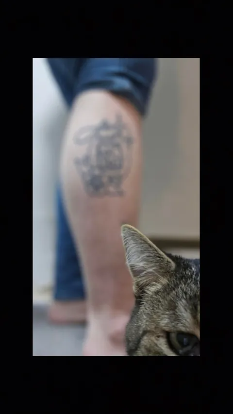 I tried to take a picture of my tattoo but my roomie's cat had other plans