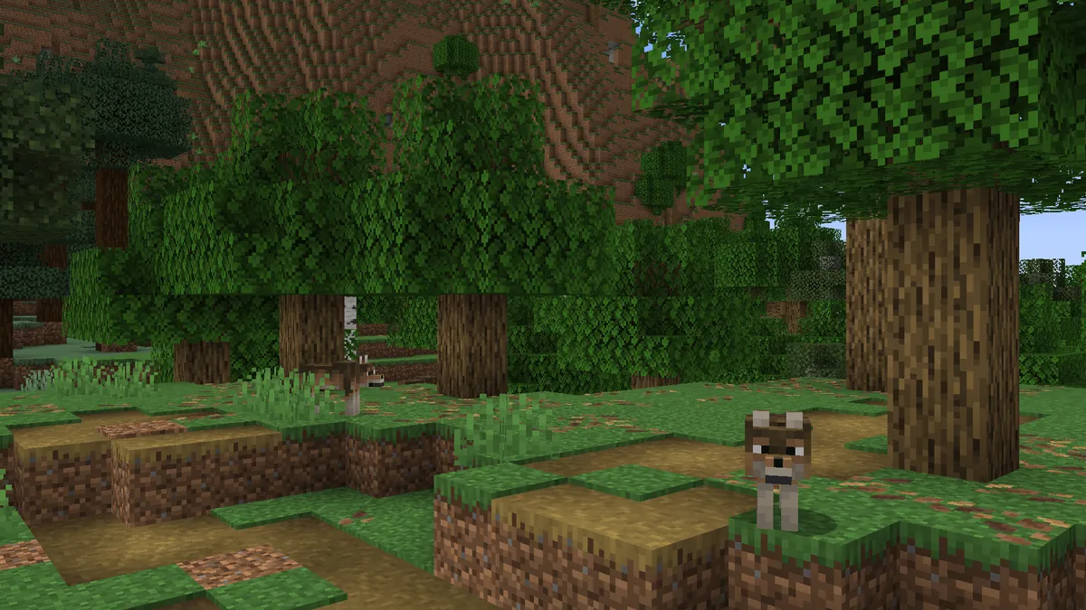 This is the udpate I always wanted for this game.