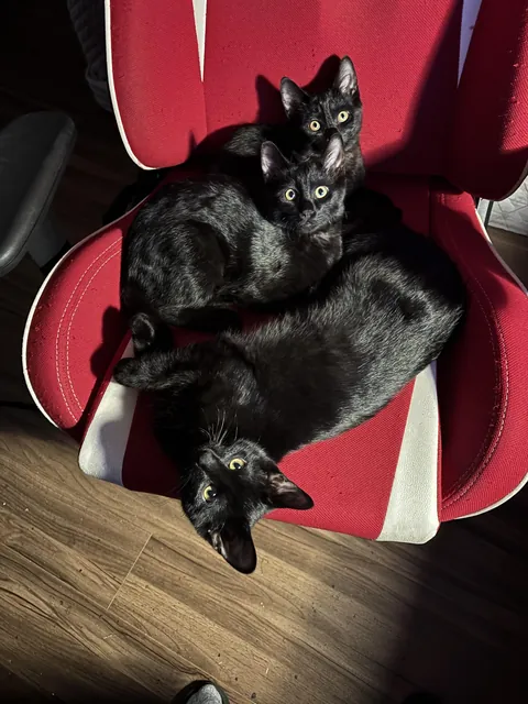 It’s okay, I’ll stand.