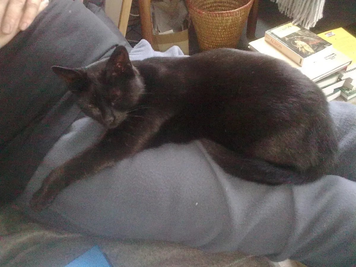 The Many Moods of Lola