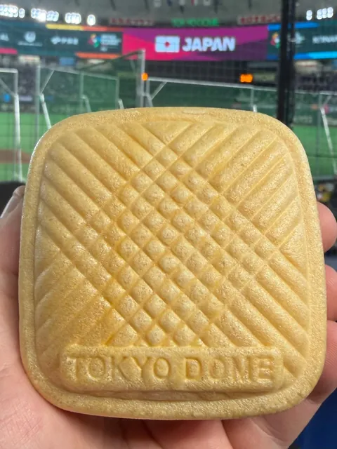 An Ice Cream Sandwich at the Tokyo Dome