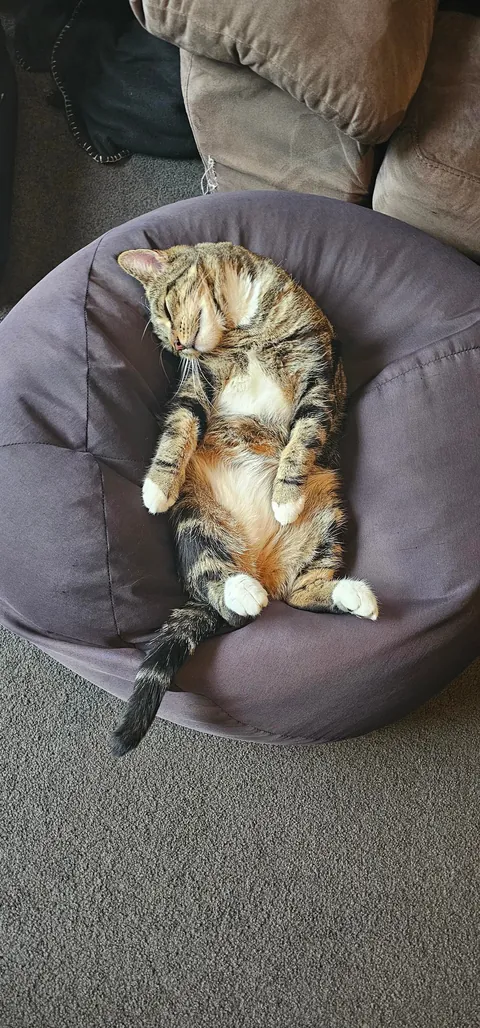 The way he sleeps. From streets to sleeps.