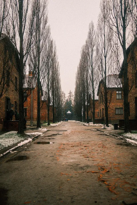 Auschwitz-Birkenau: Nazi German Concentration &amp; Extermination Camp (Poland)