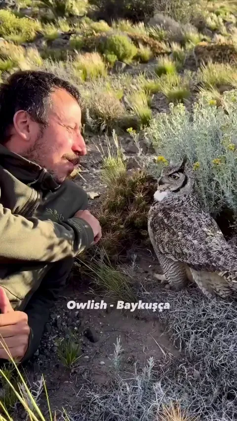 A friendly encounter