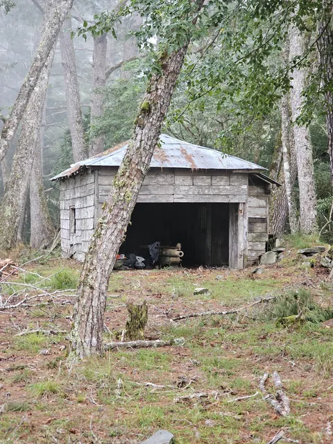 122 year old Russian cannon deep inside the taiwanese mountains