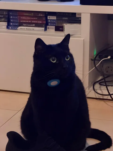 I’m Mona (cute in Spanish)