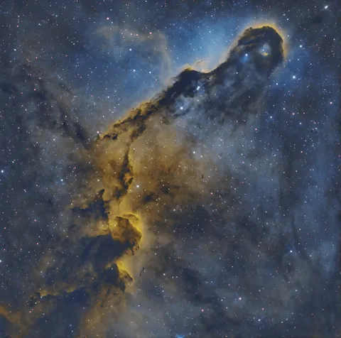 IC 1396A - Elephant Trunk nebula