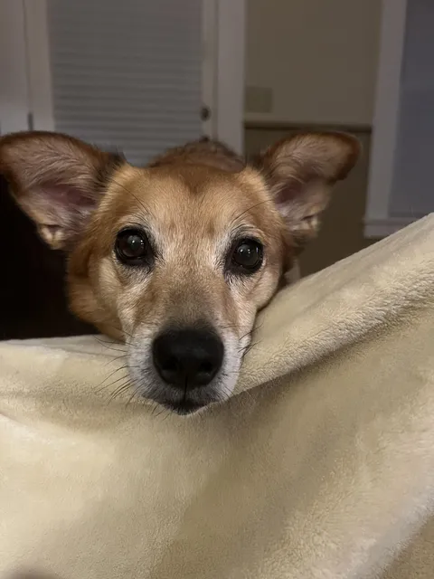 12 year old best buddy