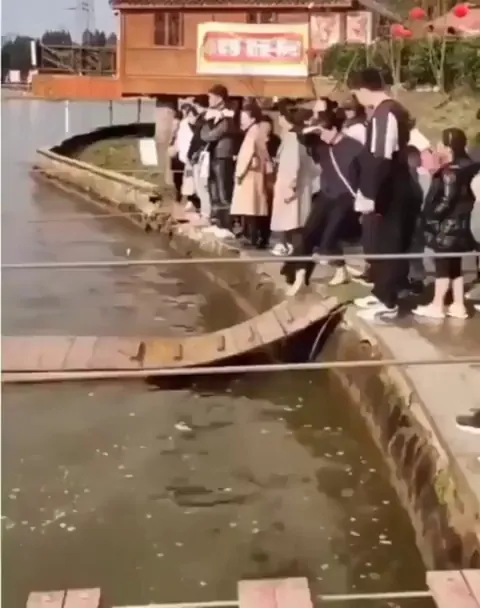 They are both traveling over the water so smoothly