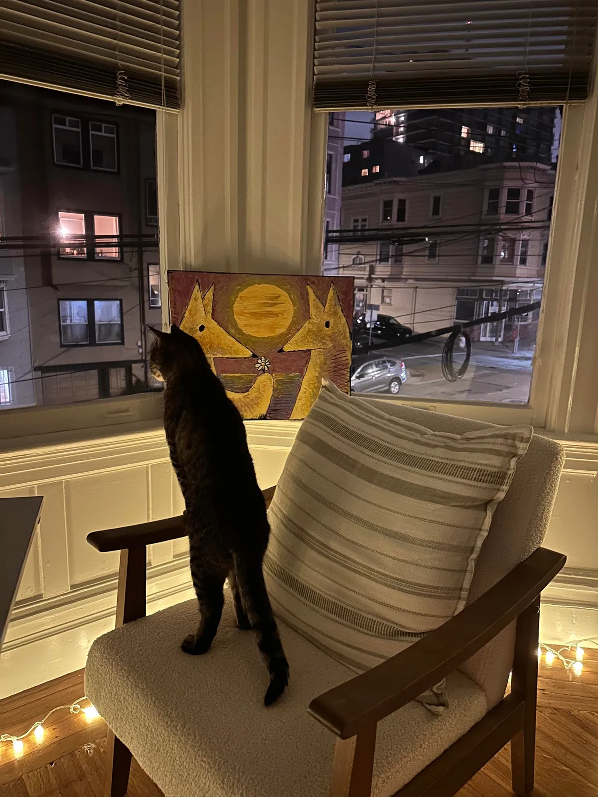 My friend gave me her 15-year-old cat to take care of for a week. She was super worried about how he was going to react. But he is perfectly fine ❤️