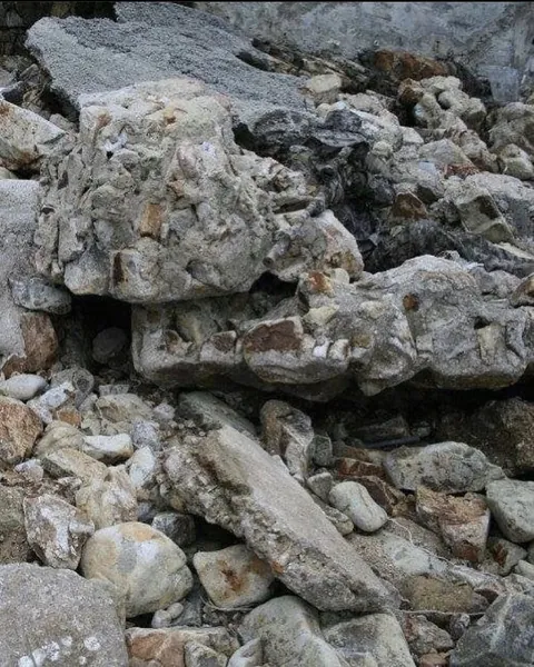 The effectiveness of camouflage 