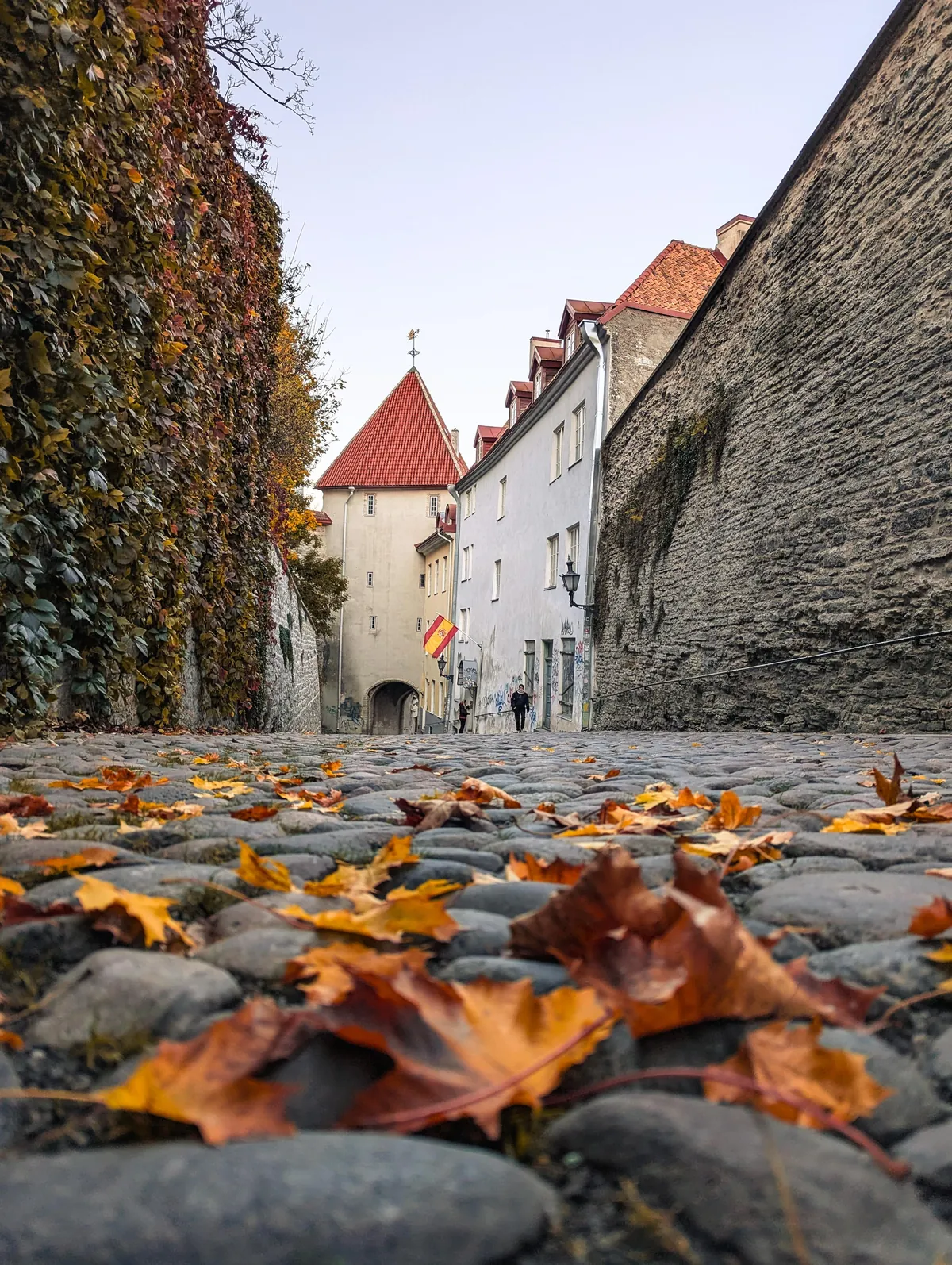 Tallinn, Estonia 🇪🇪